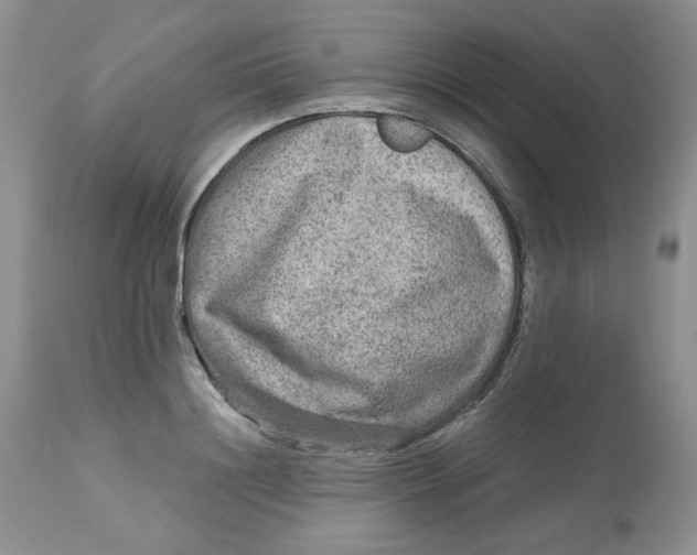 X0000112800844200909111234