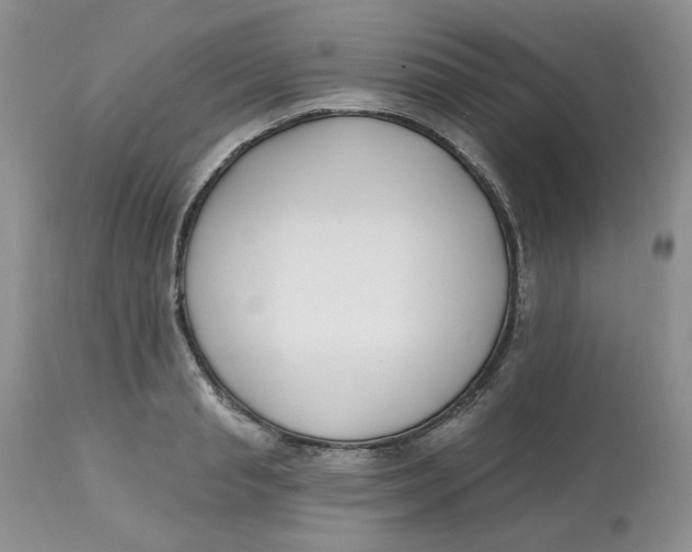 X0000112800845200909111234