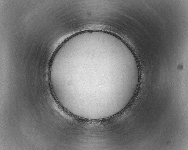 X0000112800846200909111234