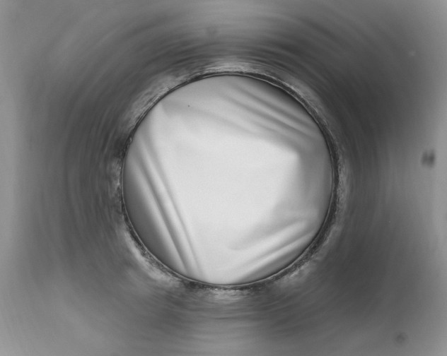 X0000112800849200909111234