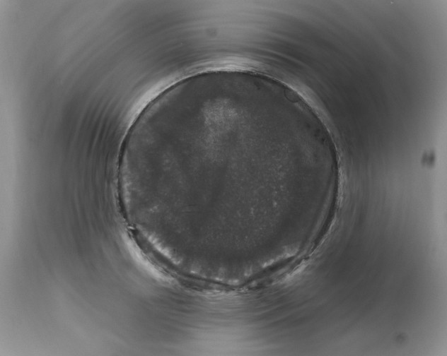 X0000112800850200909111234