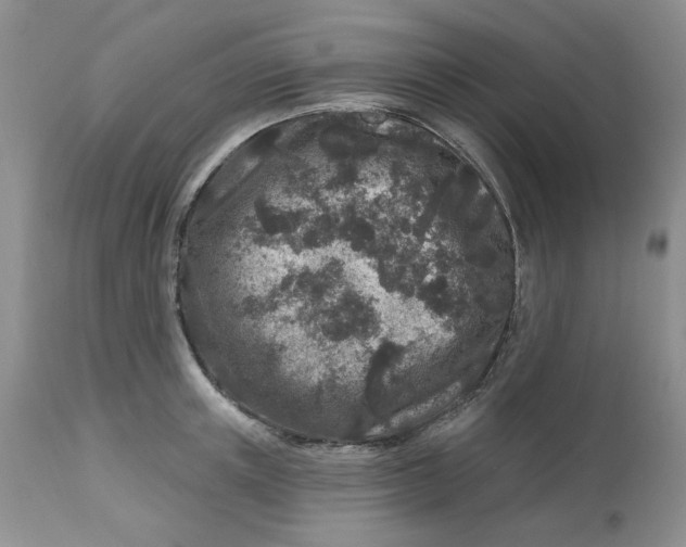 X0000112800851200909111234