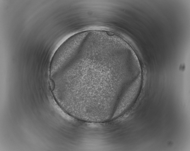 X0000112800852200909111234