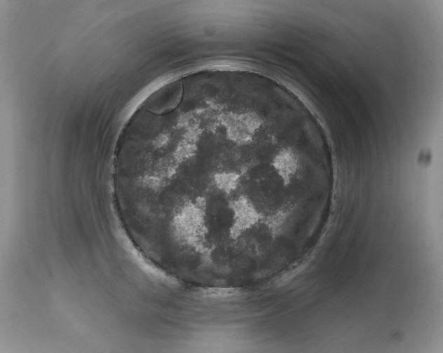 X0000112800853200909111234