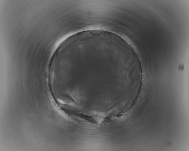 X0000112800854200909111234