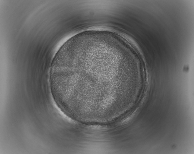 X0000112800855200909111234