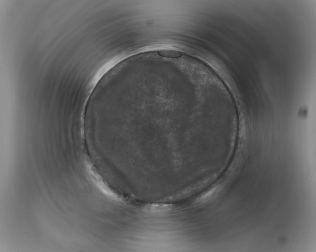 X0000112800858200909111234