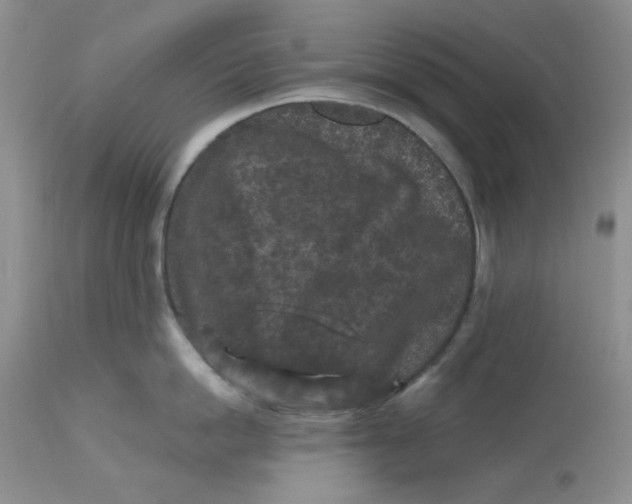 X0000112800862200909111234