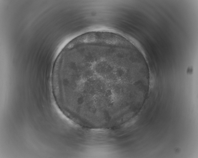 X0000112800863200909111234