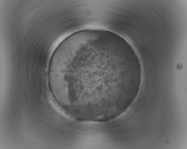 X0000112800864200909111234