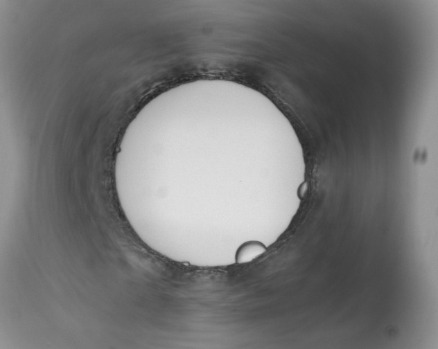 X0000112800865200909111233