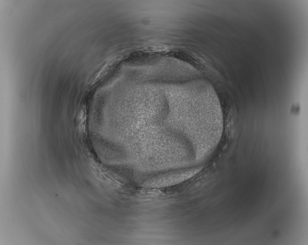 X0000112800866200909111233