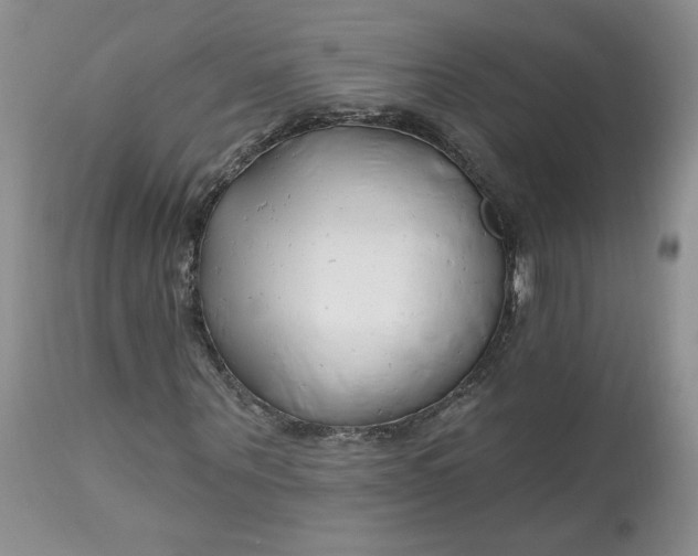 X0000112800867200909111233