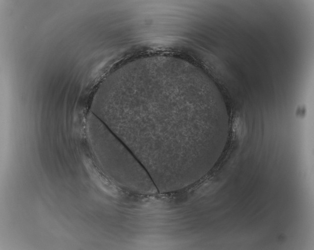 X0000112800868200909111233