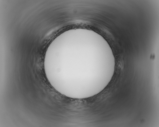 X0000112800869200909111233