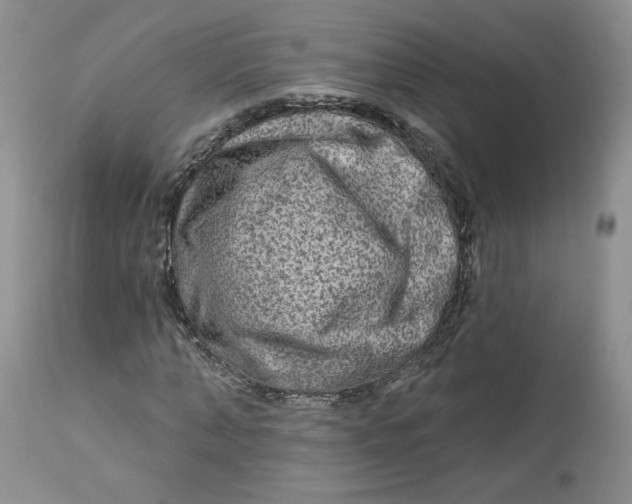 X0000112800870200909111233