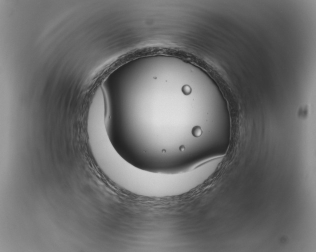 X0000112800872200909111233