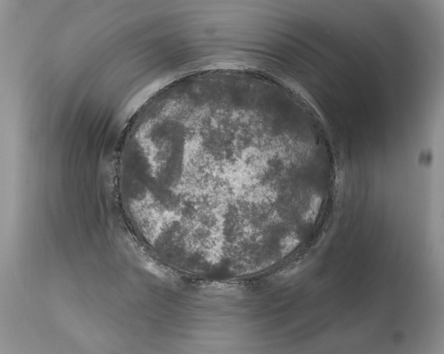 X0000112800874200909111233