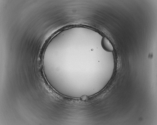 X0000112800876200909111233