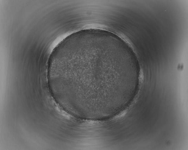 X0000112800877200909111233