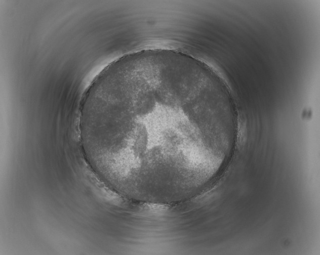 X0000112800878200909111233