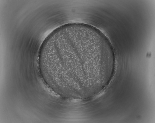 X0000112800879200909111233