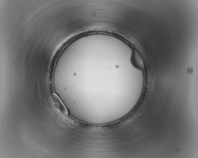 X0000112800880200909111233