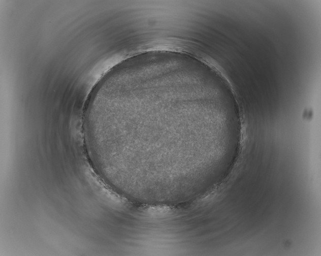 X0000112800882200909111233