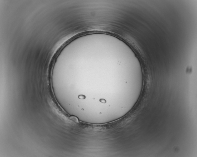 X0000112800884200909111233