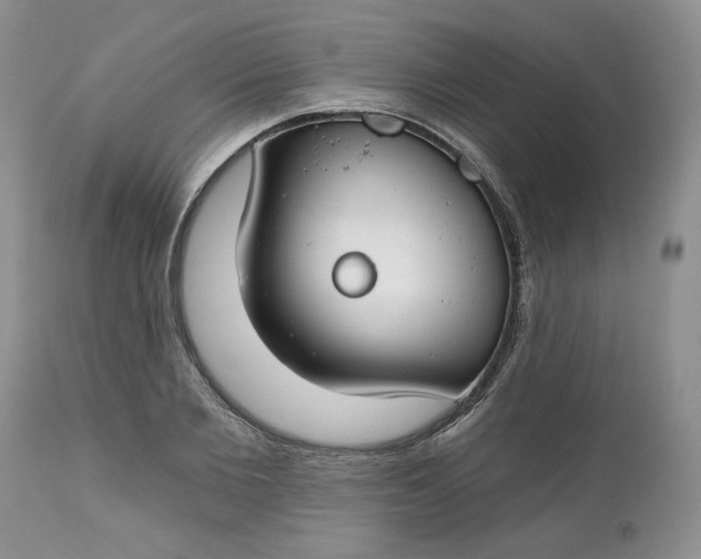 X0000112800885200909111233