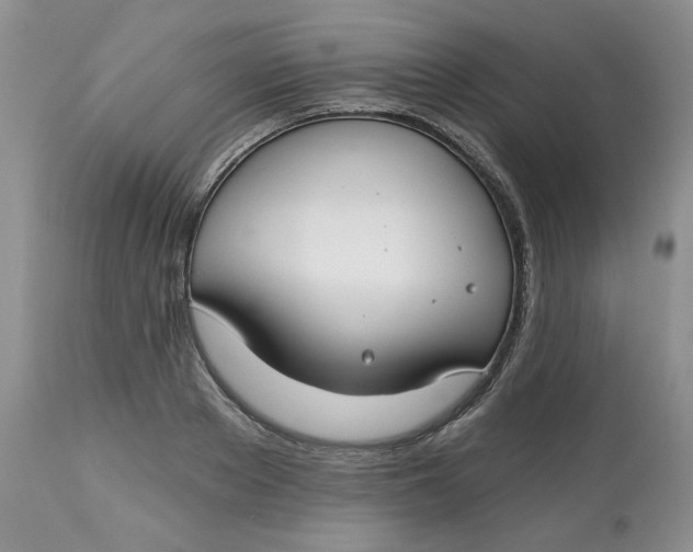 X0000112800889200909111233