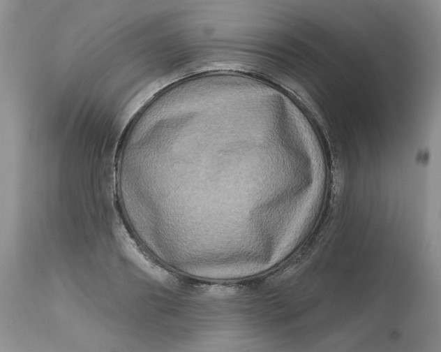 X0000112800890200909111233