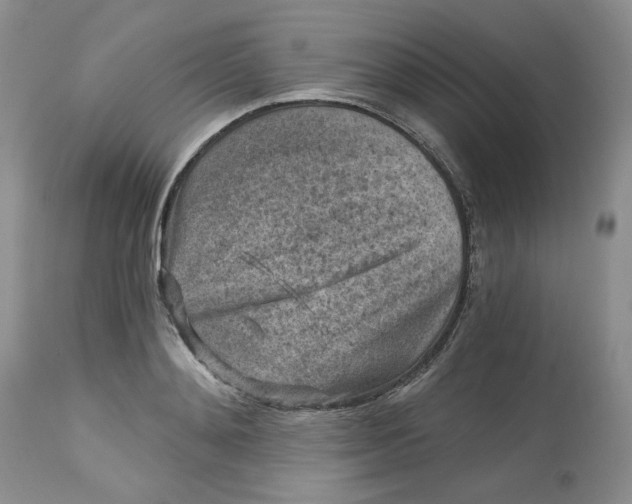 X0000112800892200909111233