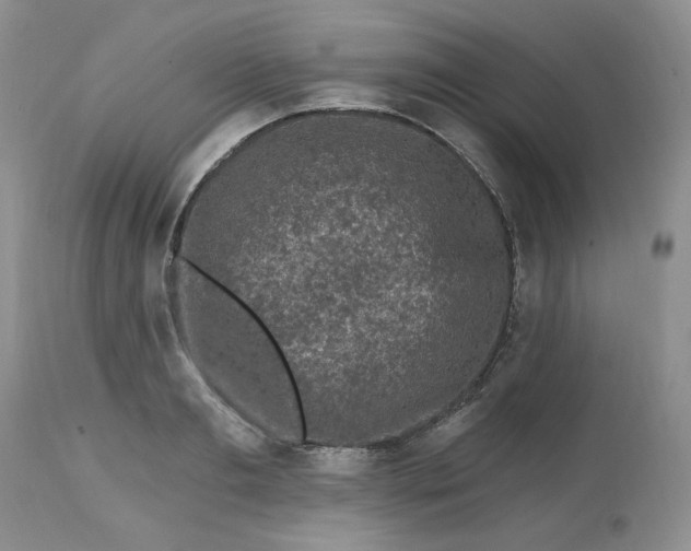 X0000112800893200909111233