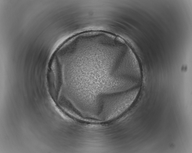 X0000112800894200909111233