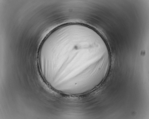 X0000112800895200909111233