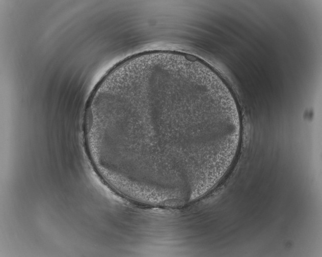 X0000112800896200909111233