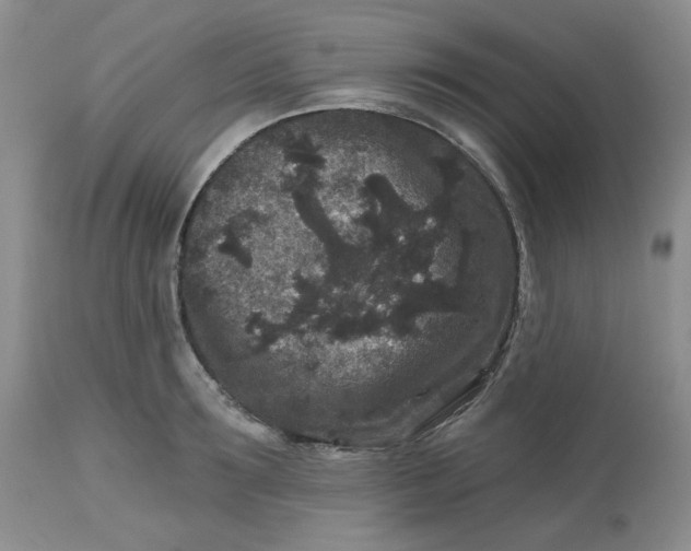 X0000112800899200909111233