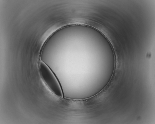 X0000112800901200909111233