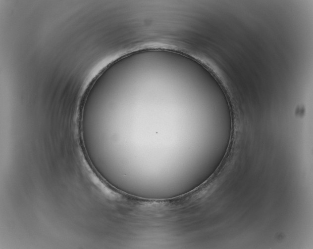 X0000112800902200909111233