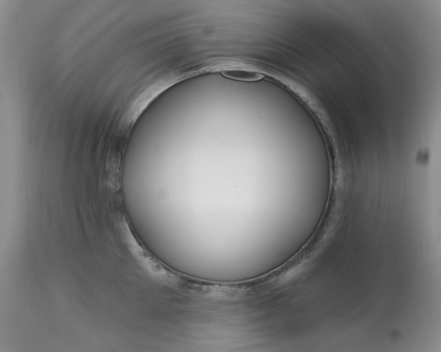 X0000112800905200909111233