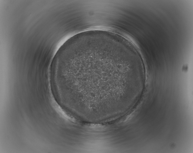 X0000112800907200909111233