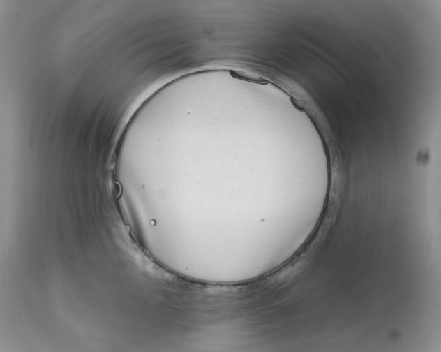 X0000112800908200909111233