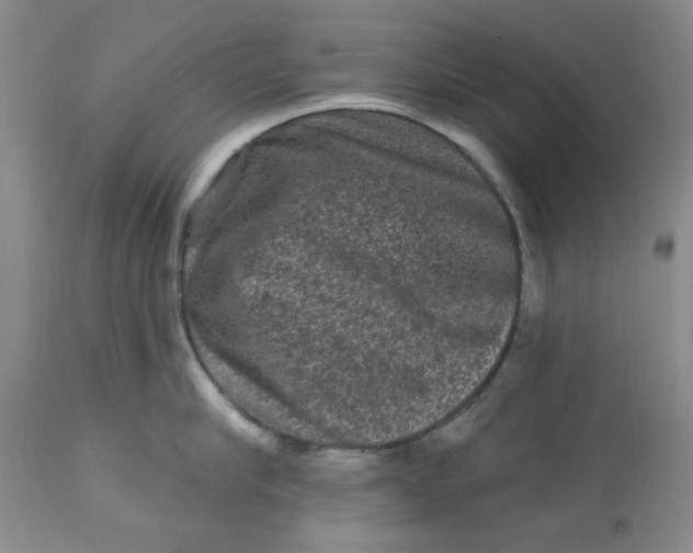 X0000112800910200909111233