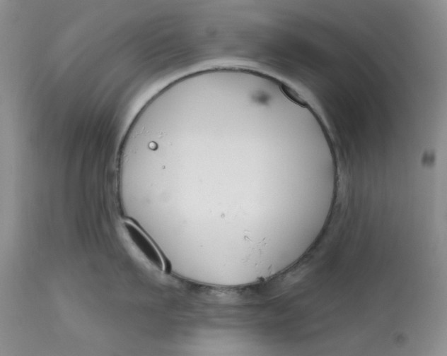 X0000112800911200909111233