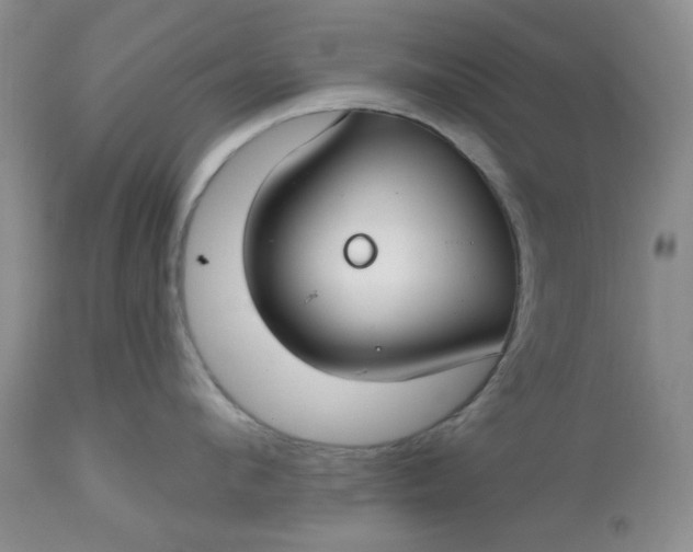 X0000112800912200909111233