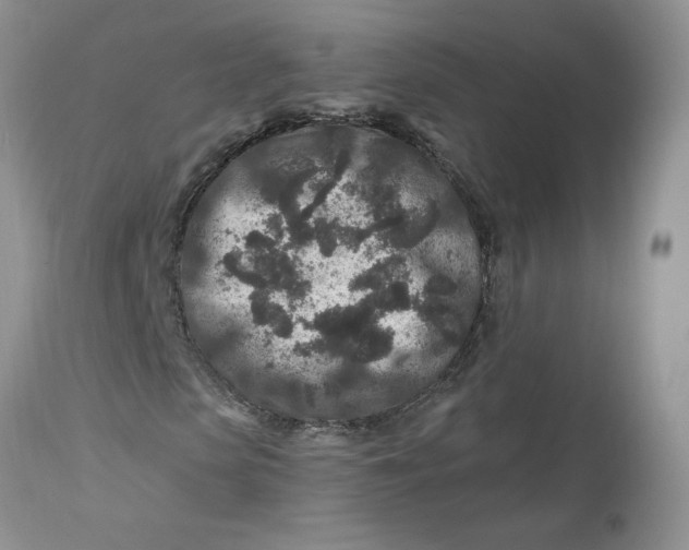 X0000112800913200909111232