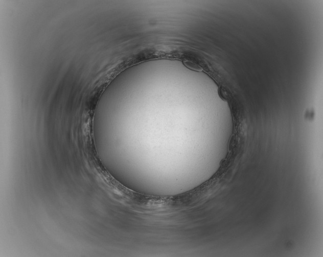 X0000112800914200909111232