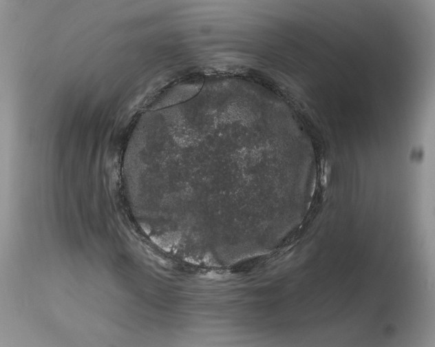 X0000112800915200909111232