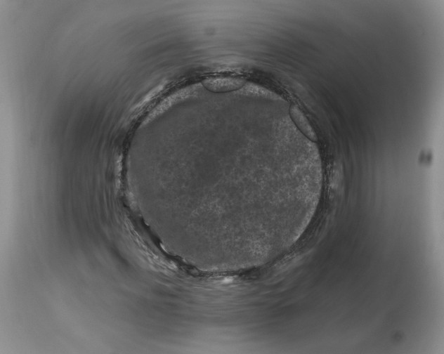 X0000112800916200909111232